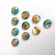Oyster turquoise 10mm round cabochon 3.36 cts